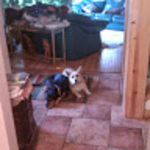 Meet your Posher, Robyn